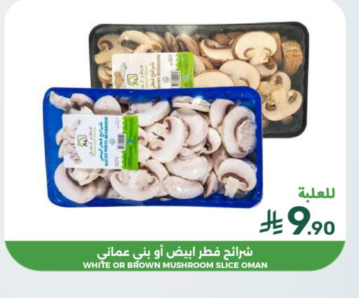 Mushroom from Oman available at Mazaya in KSA, Saudi Arabia, Saudi - Dammam