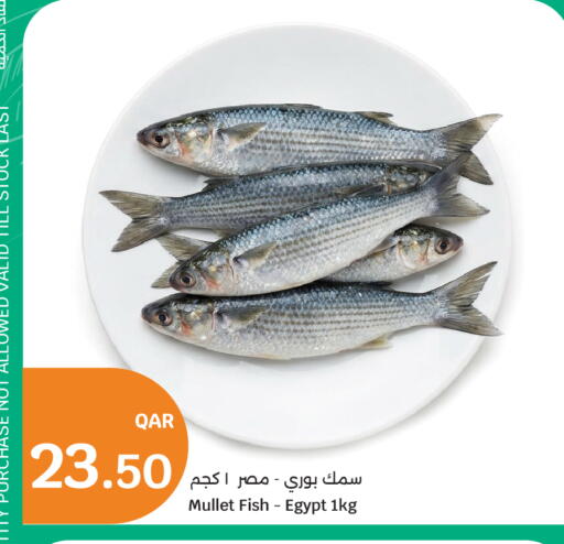 available at سيتي هايبرماركت in قطر - الوكرة