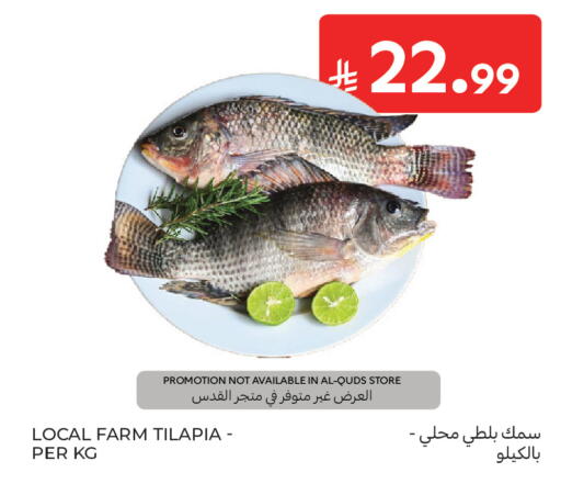 available at كارفور ماركت in مملكة العربية السعودية, السعودية, سعودية - الرياض