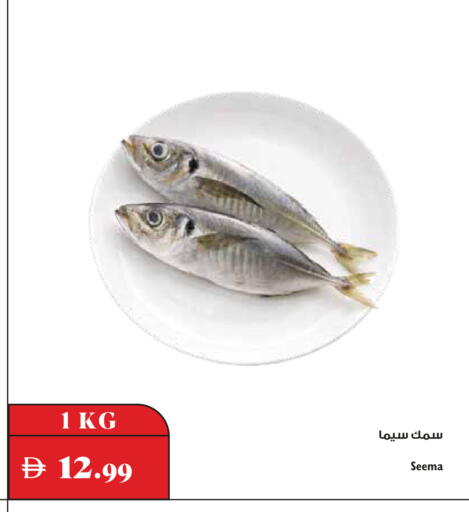 available at Trolleys Supermarket in UAE - Dubai