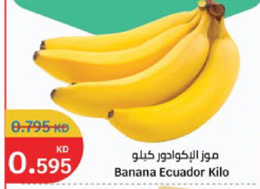 Banana from Ecuador available at City Hypermarket in Kuwait - Jahra Governorate