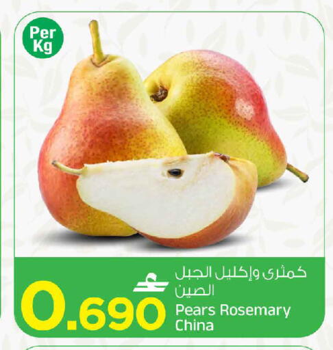 Rosemary available at مارك & سايف in عُمان - مسقط‎