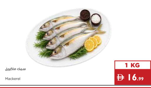 available at إسطنبول سوبرماركت in الإمارات العربية المتحدة , الامارات - أبو ظبي