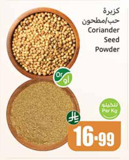 Coriander available at Othaim Markets in KSA, Saudi Arabia, Saudi - Medina