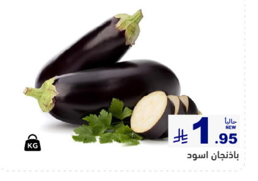 available at أسواق رامز in مملكة العربية السعودية, السعودية, سعودية - تبوك