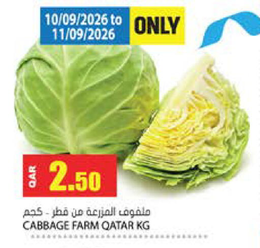 Cabbage from Qatar available at Grand Hypermarket in Qatar - Doha