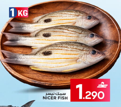 available at مارك & سايف in عُمان - مسقط‎