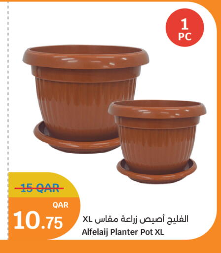 available at سيتي هايبرماركت in قطر - الضعاين