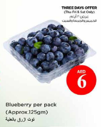 Blueberry BlueBerry available at نستو هايبرماركت in الإمارات العربية المتحدة , الامارات - دبي