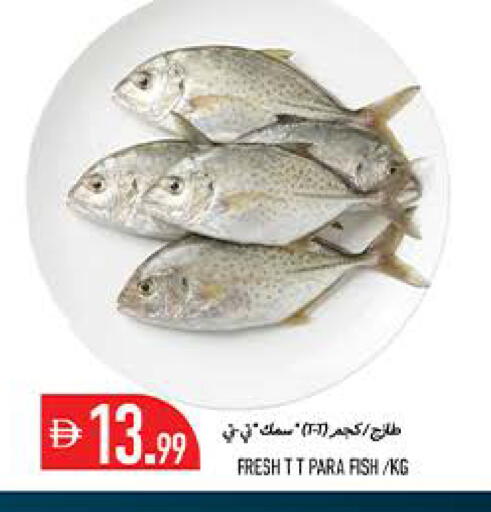 available at  روابي ماركت عجمان in الإمارات العربية المتحدة , الامارات - الشارقة / عجمان
