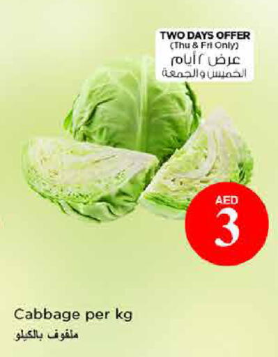 Cabbage available at نستو هايبرماركت in الإمارات العربية المتحدة , الامارات - دبي