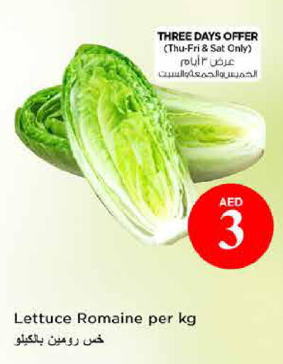 Lettuce available at نستو هايبرماركت in الإمارات العربية المتحدة , الامارات - دبي