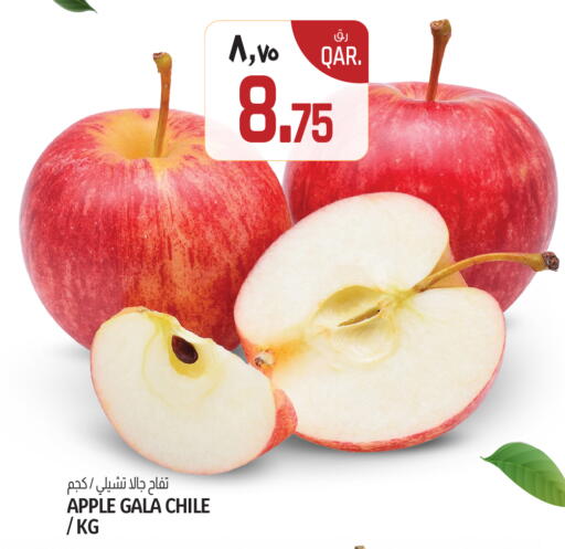 Apple from Chile available at السعودية in قطر - الشمال