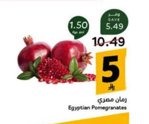from Egypt available at Hyper Panda in KSA, Saudi Arabia, Saudi - Medina