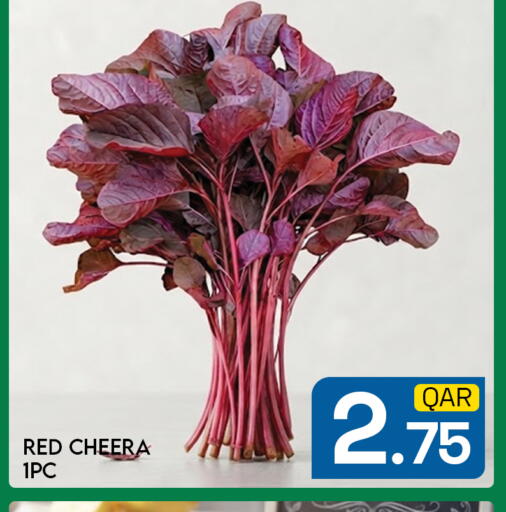 available at مجلس هايبرماركت in قطر - الريان