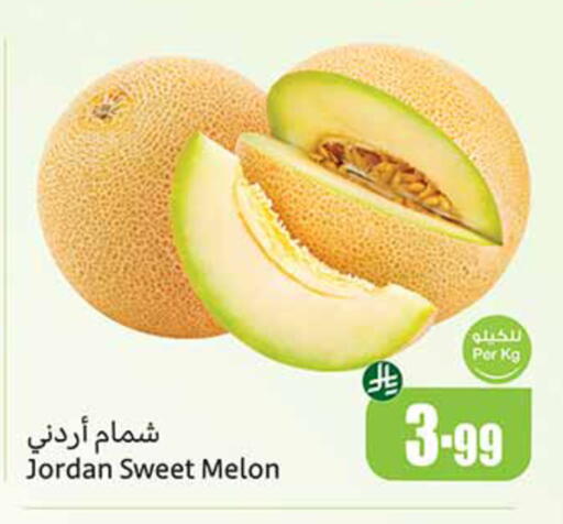 Melon from Jordan available at أسواق عبد الله العثيم in مملكة العربية السعودية, السعودية, سعودية - المدينة المنورة