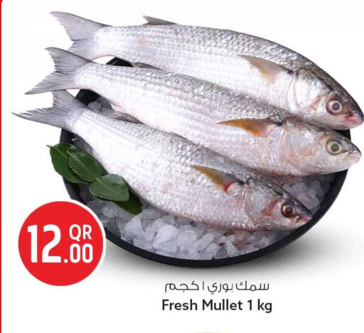 available at سفاري هايبر ماركت in قطر - الدوحة