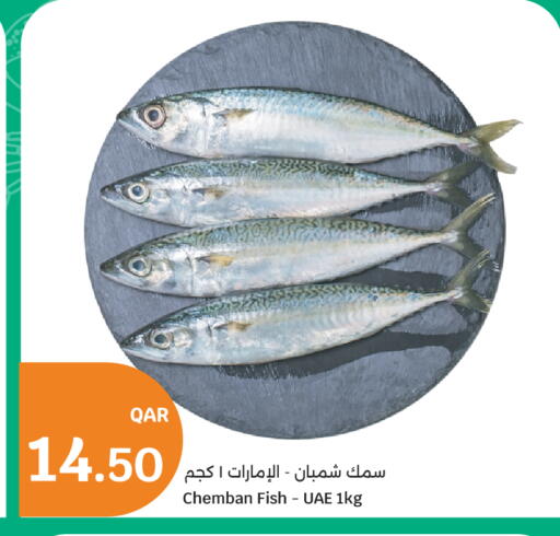 available at City Hypermarket in Qatar - Doha