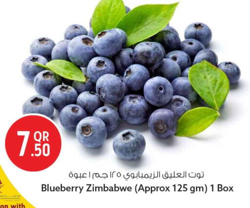 Blueberry BlueBerry from Zimbabwe available at Safari Hypermarket in Qatar - Doha