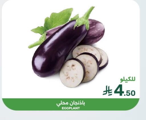 Eggplant available at Mazaya in KSA, Saudi Arabia, Saudi - Dammam