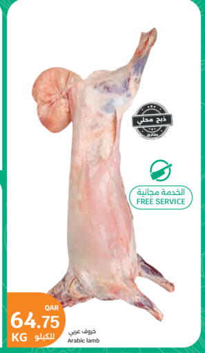 available at سيتي هايبرماركت in قطر - الوكرة