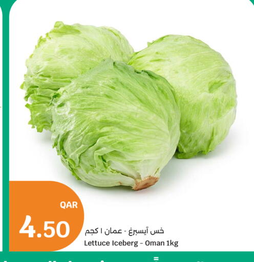 Lettuce from Oman available at سيتي هايبرماركت in قطر - الوكرة