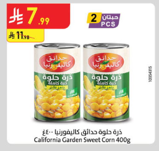 available at الدانوب in مملكة العربية السعودية, السعودية, سعودية - تبوك