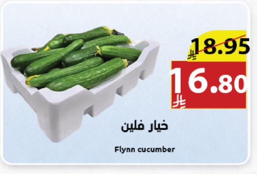Cucumber available at Abyati Stores in KSA, Saudi Arabia, Saudi - Medina