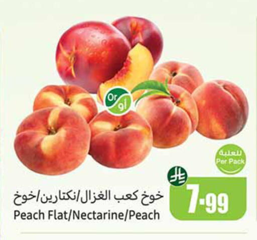 Peach Nectarine available at Othaim Markets in KSA, Saudi Arabia, Saudi - Medina