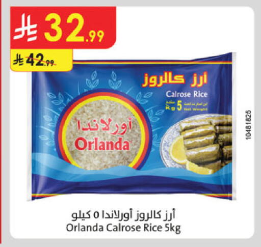 available at Danube in KSA, Saudi Arabia, Saudi - Al Khobar