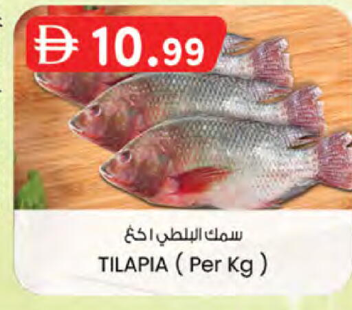 available at ك. الم. للتجارة in الإمارات العربية المتحدة , الامارات - دبي