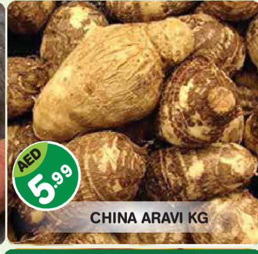 from China available at سنابل بني ياس in الإمارات العربية المتحدة , الامارات - أبو ظبي