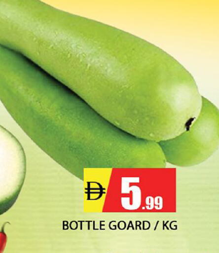 available at المدينة in الإمارات العربية المتحدة , الامارات - الشارقة / عجمان