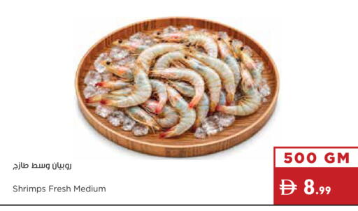 available at إسطنبول سوبرماركت in الإمارات العربية المتحدة , الامارات - رَأْس ٱلْخَيْمَة
