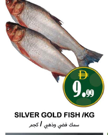 available at سوق المبارك هايبرماركت in الإمارات العربية المتحدة , الامارات - الشارقة / عجمان