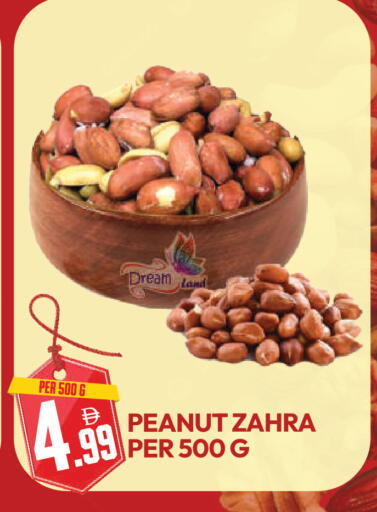 available at دريم لاند in الإمارات العربية المتحدة , الامارات - دبي