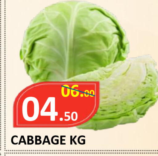 Cabbage available at ROYAL GULF HYPERMARKET LLC in UAE - Abu Dhabi