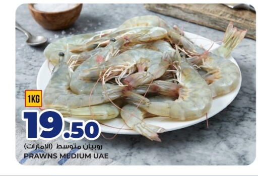 available at Rawabi Hypermarket in Qatar - Al Wakra
