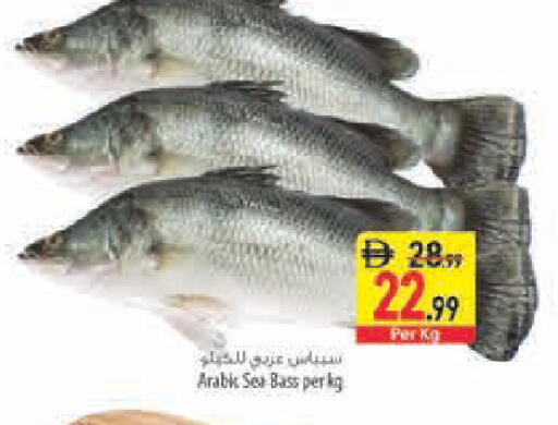 available at Safeer Market in UAE - Sharjah / Ajman