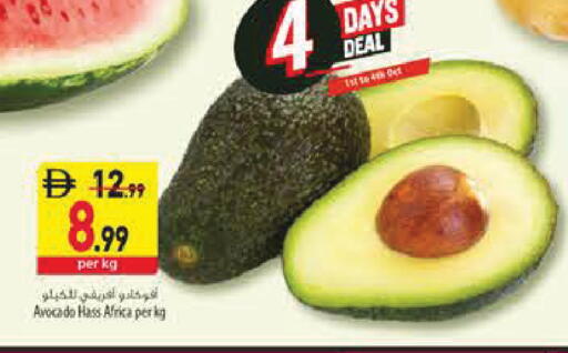 Avocado available at Safeer Market in UAE - Sharjah / Ajman
