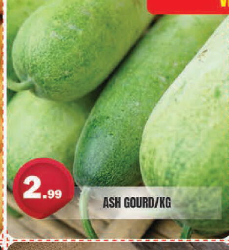 available at سنابل بني ياس in الإمارات العربية المتحدة , الامارات - أبو ظبي