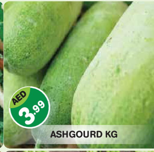 available at سنابل بني ياس in الإمارات العربية المتحدة , الامارات - أبو ظبي