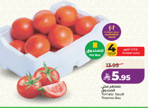 Tomato from Saudi Arabia available at لولو هايبرماركت in مملكة العربية السعودية, السعودية, سعودية - جدة