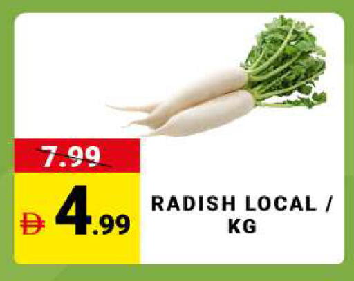 Radish available at مدهور سوبرماركت in الإمارات العربية المتحدة , الامارات - دبي