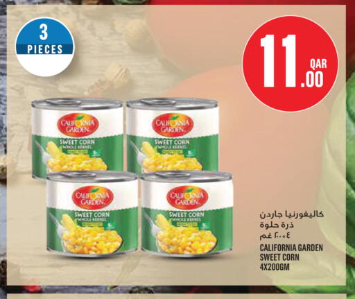 available at مونوبريكس in قطر - الريان
