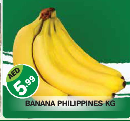 Banana from Philippines available at سنابل بني ياس in الإمارات العربية المتحدة , الامارات - أبو ظبي