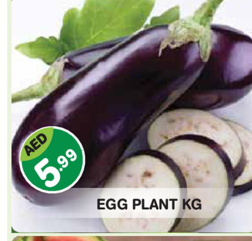 available at سنابل بني ياس in الإمارات العربية المتحدة , الامارات - أبو ظبي