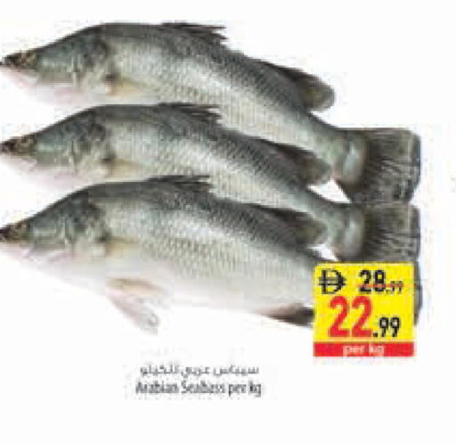 available at السفير ماركت in الإمارات العربية المتحدة , الامارات - رَأْس ٱلْخَيْمَة