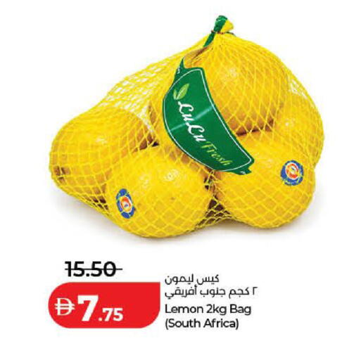 Lemon from South Africa available at لولو هايبرماركت in الإمارات العربية المتحدة , الامارات - دبي