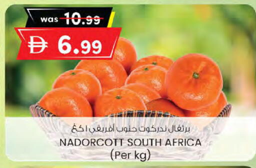 from South Africa available at K M Trading  in UAE - Sharjah / Ajman